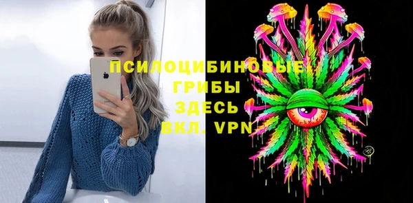 метадон Тавда