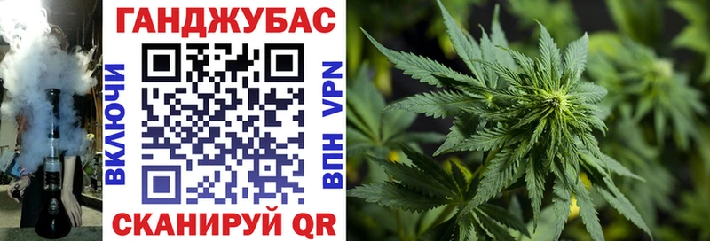 Купить  Сурск  Бошки Шишки VHQ 